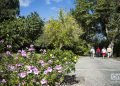 Jardín Botánico de Cienfuegos. Foto: Otmaro Rodríguez.