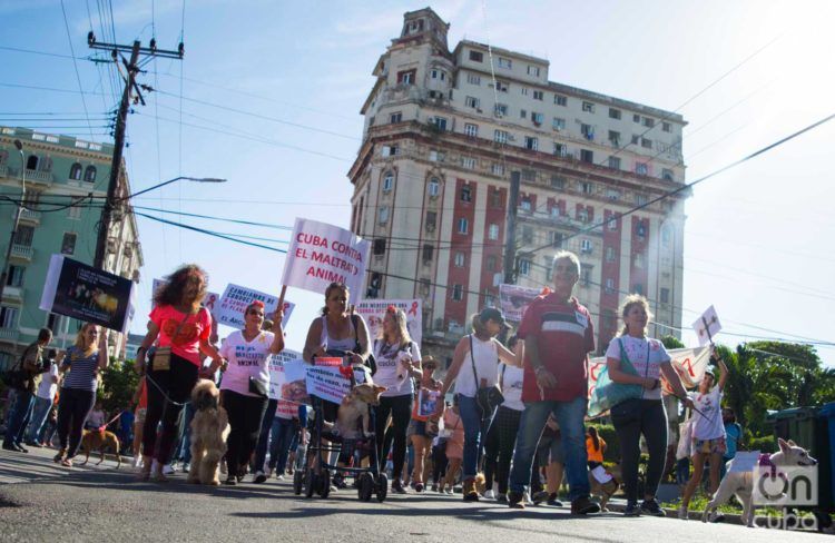 Marcha contra el maltrato animal, el 7 de abril de 2019 en La Habana. Foto: Otmaro Rodríguez.