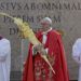 El papa Francisco sostiene una palma durante la celebración del Domingo de Ramos en la Plaza de San Pedro del Vaticano, el domingo 14 de abril de 2019. (AP Foto/Gregorio Borgia)