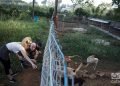 Refugio de perros de Venus y Ernesto en Mulgoba, al oeste de La Habana. Foto: Otmaro Rodríguez.