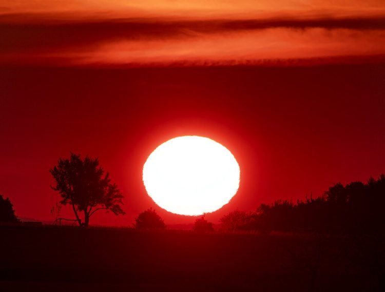 Amanecer en Frankfurt, Alemania, el lunes 24 de junio de 2019. Foto: Michael Probst / AP.