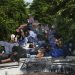 Migrantes viajan arriba de un tren de carga rumbo al norte en Salto del Agua, estado de Chiapas, México, el 25 de junio de 2019. (AP Foto/Marco Ugarte)