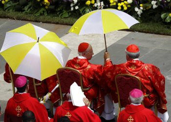 Cardenales refugiados del sol durante la misa de Pentecostés celebrada por el papa Francisco en la Plaza de San Pedro, en el Vaticano, el domingo 9 de junio de 2019. Foto: Gregorio Borgia/ AP.