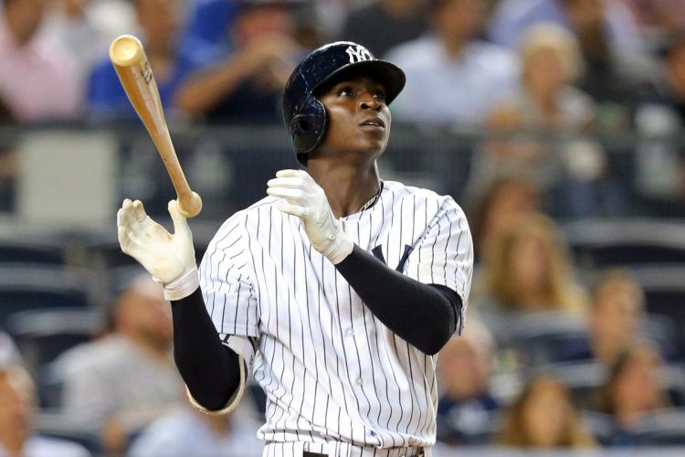 Didi Gregorius extendió a 29 la cadena de juegos consecutivos con jonrón de los Yankees. Foto: Brad Penner/USA TODAY Sports