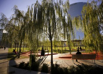 En esta fotografía de archivo del 4 de diciembre de 2018, algunas personas disfrutan del parque Biblioteca de Árboles en Milán, Italia. Foto: Luca Bruno / AP / Archivo.