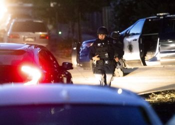 Policías trabajan en la escena de un tiroteo en el Festival del Ajo de Gilroy, en Gilroy, California, el domingo 28 de julio de 2019. Foto: Noah Berger / AP.