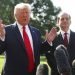 El presidente Donald Trump habla con la prensa junto al hasta ahora secretario de Trabajo Alex Acosta en la Casa Blanca el viernes 12 de julio de 2019 en Washington. Foto: Andrew Harnik / AP.