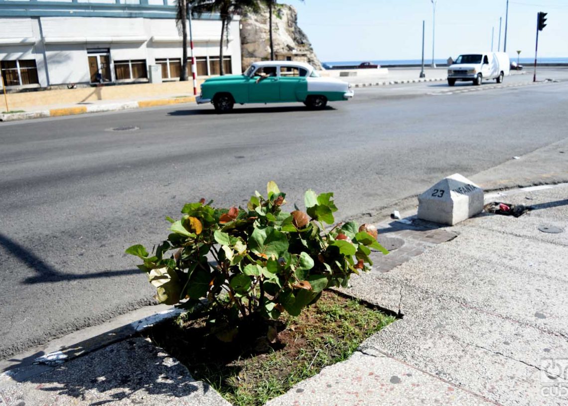 Foto: Otmaro Rodríguez.