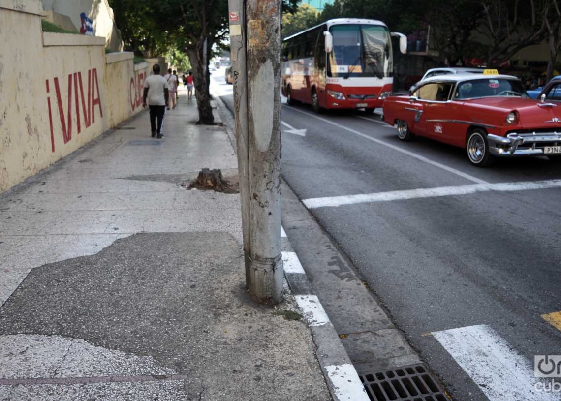 Foto: Otmaro Rodríguez.