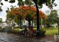 Lluvia en La Habana. Foto: Otmaro Rodríguez.