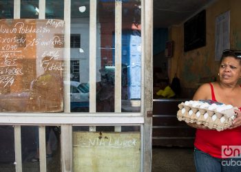 Foto: Otmaro Rodríguez.