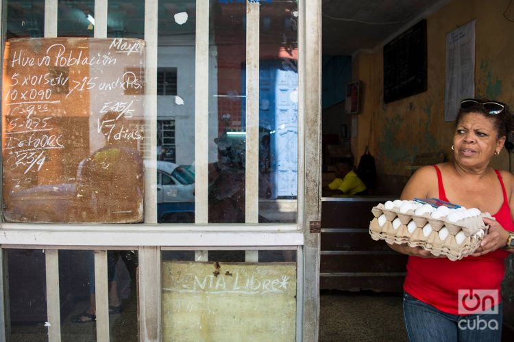 Foto: Otmaro Rodríguez.