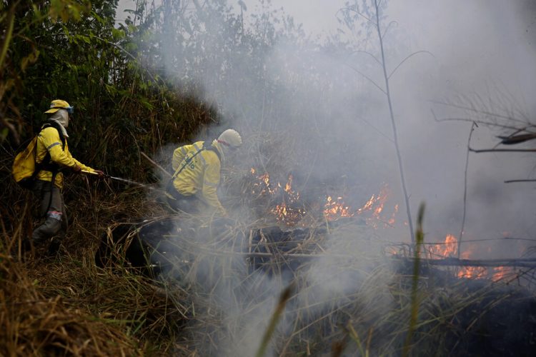 Bomberos combaten un incendio en el Bosque Nacional Jacundá en la región de la Amazonía, Brasil, el lunes 26 de agosto de 2019. Foto: Eraldo Peres / AP.