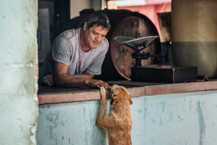 "Un momento tierno entre un bodeguero y un perro callejero". Centro Habana, La Habana. Foto: Emmy Park. Todos los derechos reservados.