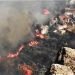 En esta foto difundida por el cabildo de Gran Canaria se ve un incendio cerca de unas casas en El Rincón, en la isla de España, el domingo 18 de agosto de 2019. Foto: Cabildo de Gran Canaria vía AP.