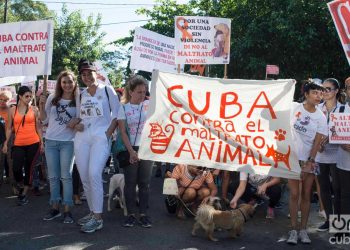 Marcha contra el maltrato animal en abril de 2019 en La Habana. Foto: Otmaro Rodríguez.