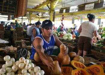 Mercado de 19 y B, en el barrio del Vedado, La Habana. Foto: mapio.net.