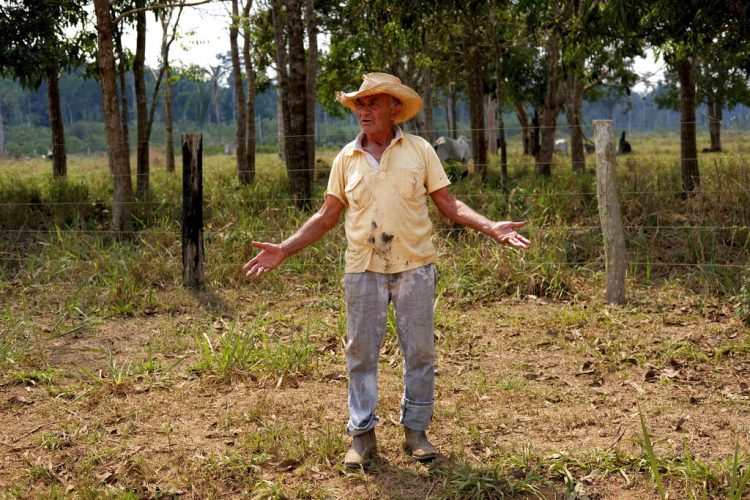 Antonio Lopes da Silva, un ganadero de 75 años, posa para una fotografía en Vila Nova Samuel, en el estado amazónico de Rondonia, Brasil, el 29 de agosto de 2019. Lopez Da Silva dijo que hay que proteger la Amazonía, pero también cree que los fuegos para limpiar tierras para plantar pasto son necesarios para que la región y el país properen ante la dificil situación económica. Foto:Luis Andrés Henao/AP.