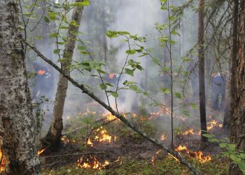 Foto del incendio en la región de Krasnoyarsk en Rusia el 3 de agosto del 2019.  Foto: Ministerio de Situaciones de Emergencia, Región  Krasnoyarsk, vía AP.