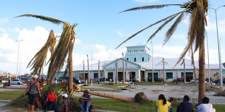 Varias personas esperan sentadas bajo unas palmeras destrozadas en el exterior del aeropuerto internacional Leonard M. Thompson tras el paso del huracán Dorian, en Marsh Harbour, en Islas Ábaco, Bahamas, el 5 de septiembre de 2019. (AP Foto/Gonzalo Gaudenzi)