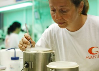 Fotografía de archivo del domingo 25 de agosto de 2019 de una científica en el laboratorio Avantea mientras insemina óvulos de las dos hembras aún vivas del rinoceronte blanco del norte con esperma congelado de machos muertos en Cremona, Italia. Foto: Antonio Calanni / AP / Archivo.