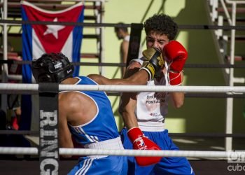 Imagen de archivo de un combate de boxeo. Foto: Otmaro Rodríguez / Archivo.