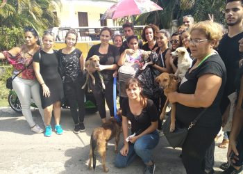 Activistas cubanos que rescataron a animales que iban a ser sacrificados en La Habana por la dependencia estatal Zoonosis, el 11 de noviembre de 2019. Foto: Beatriz Batista / Facebook.
