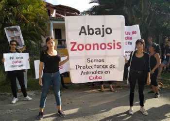 Protectores cubanos protestan contra el maltrato animal frente a un centro del programa estatal de Zoonosis, el lunes 11 de noviembre de 2019. Foto: Perfil de Facebook de Beatriz Batista.