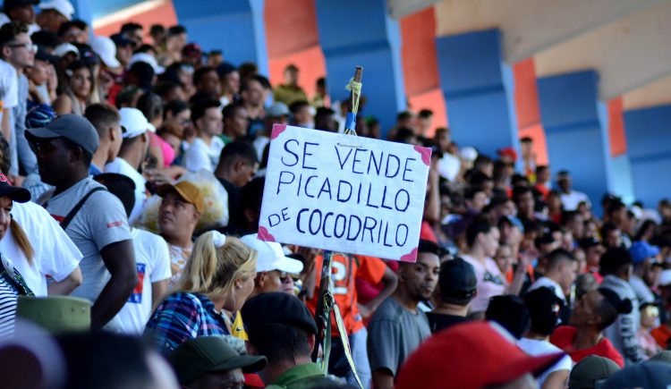 La fanaticada de los Toros gozó en el Cándido González y seguramente llevarán sus iniciativas al Victoria de Girón matancero. Foto: Gabriel García.