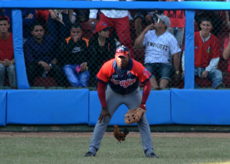 La misteriosa gallina de la ¿buena o mala suerte? que apareció en el quinto juego de la final de la Serie Nacional 59 entre los equipos de Matanzas y Camagüey. Foto: Gabriel García.