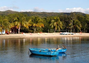 Fotografía del archivo del 16 de enero de 2020 que muestra dos pelícanos posados en dos botes, en la Villa Guajimico, en Cienfuegos. Foto: Yander Zamora / EFE / Archivo.