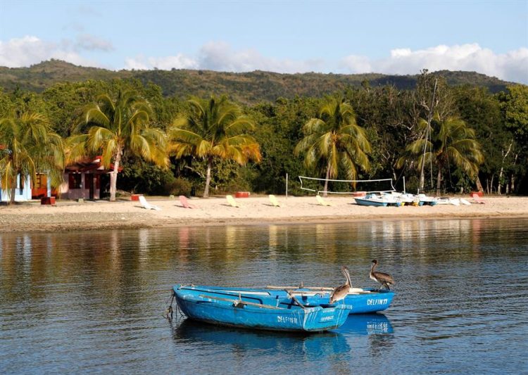 Fotografía del archivo del 16 de enero de 2020 que muestra dos pelícanos posados en dos botes, en la Villa Guajimico, en Cienfuegos. Foto: Yander Zamora / EFE / Archivo.