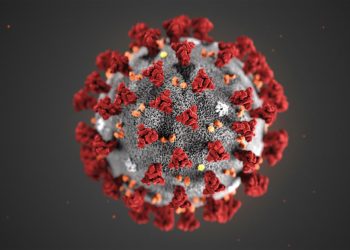 Ilustración proporcionada por los Centros para el Control y la Prevención de Enfermedades de Estados Unidos (CDC) en enero de 2020 del 2019 Novel Coronavirus (2019-nCoV). Foto: CDC vía AP / Archivo.