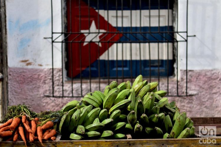 Foto: Otmaro Rodríguez.