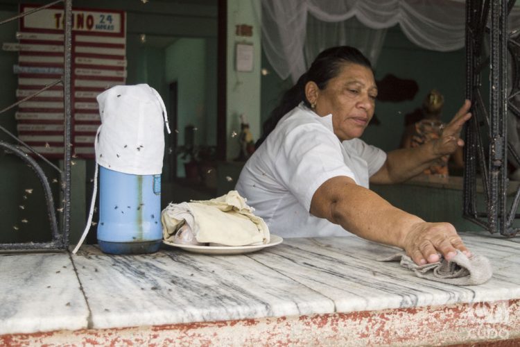 Foto: Otmaro Rodríguez.