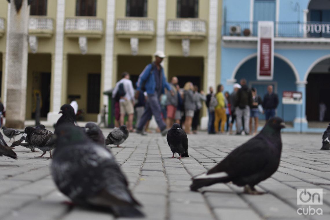 Foto: Otmaro Rodríguez.