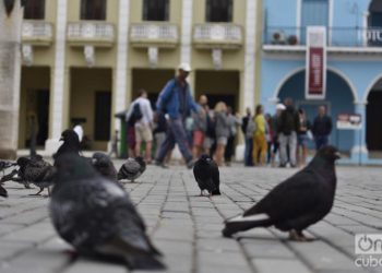 Foto: Otmaro Rodríguez.