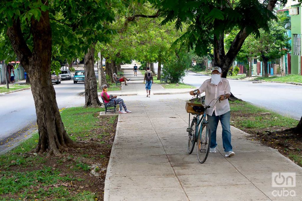 Foto: Otmaro Rodríguez.