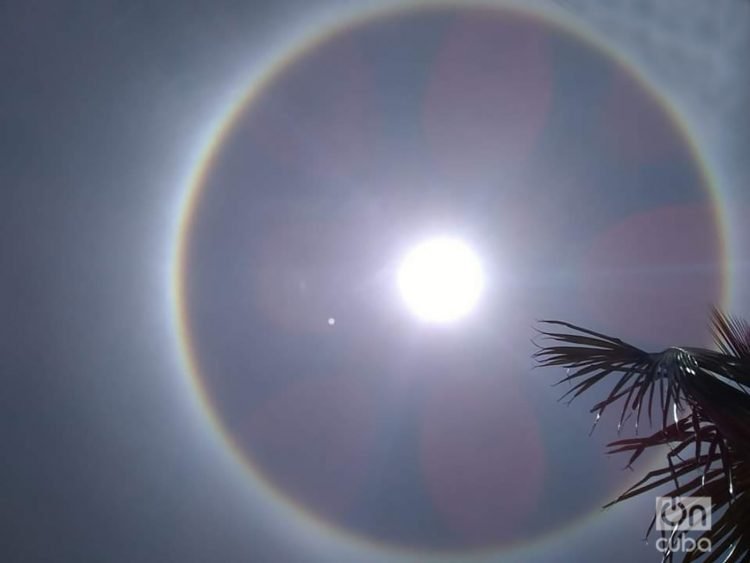 Halo solar visto en La Habana hoy. Foto: Amaury La Rosa