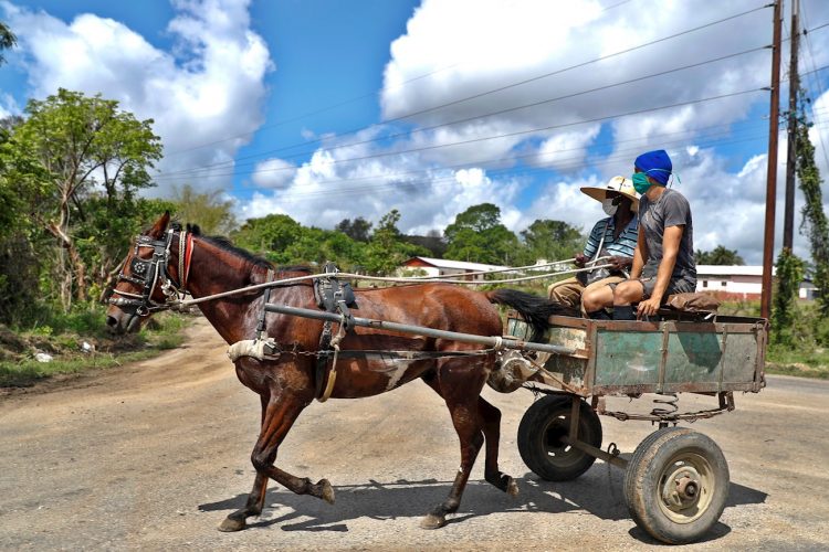 Los nuevos contagios sucedieron en La Habana y Matanzas. Cuba suma 1872 enfermos del nuevo coronavirus. Foto: EFE/Yander Zamora