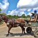 Los nuevos contagios sucedieron en La Habana y Matanzas. Cuba suma 1872 enfermos del nuevo coronavirus. Foto: EFE/Yander Zamora