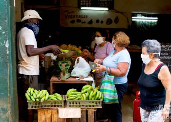 Productos agrícolas en los mercados. Foto: Otmaro Rodriguez