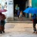 Los 15 contagios informados hoy fueron identificados en La Habana. 11 provincias de Cuba, y el municipio especial Isla de la Juventud, no reportan nuevos casos desde hace dos semanas. Foto: Otmaro Rodríguez