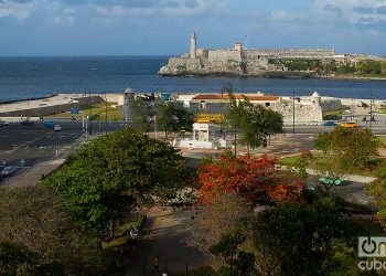 Parque 27 de Noviembre. Foto: Otmaro Rodríguez