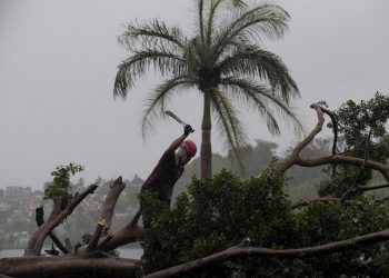 Un bombero corta un árbol derribado por el viento y la lluvia este jueves en Santo Domingo (República Dominicana). Foto: Orlando Barría/EFE