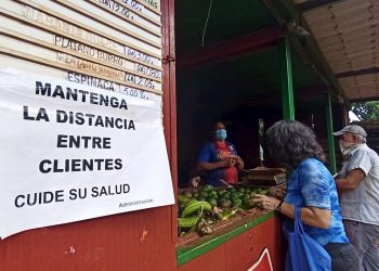 Por regiones, los 11 casos de hoy se circunscriben a los municipios de Bauta (Artemisa), Marianao, Playa, Diez de Octubre y Plaza de la Revolución (La Habana) y Camajuaní (Villa Clara). Foto: Ernesto Mastrascusa/EFE/archivo.