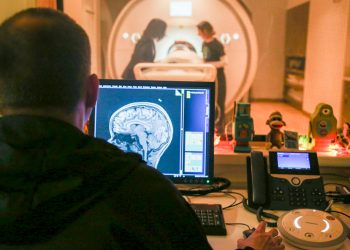 El proyecto ABCD es el mayor estudio sobre el desarrollo del cerebro en la adolescencia. Foto: news.fiu.edo