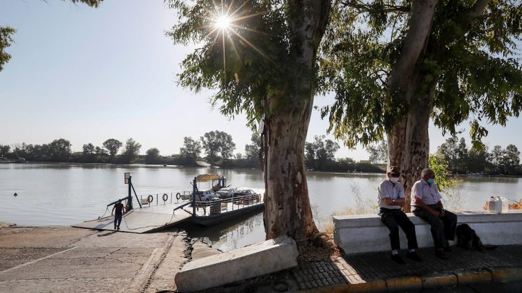 En el municipio sevillano de Coria del Río, una de las dos localidades que se encuentran dentro de las marismas del Guadalquivir, se ha registrado 18 casos de meningoencefalitis vírica. Foto: EFE/ Jose Manuel Vidal.