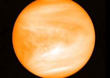 Foto de mayo de 2016 del planeta Venus proporcionada por el investigador Jane Greaves y captada por la sonda japonesa Akatsuki. Foto: J. Greaves/Cardiff University/JAXA via AP.