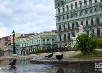 Paisaje de La Habana Vieja. Foto: Otmaro Rodríguez.